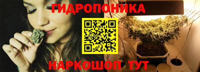 шишки Бузулук