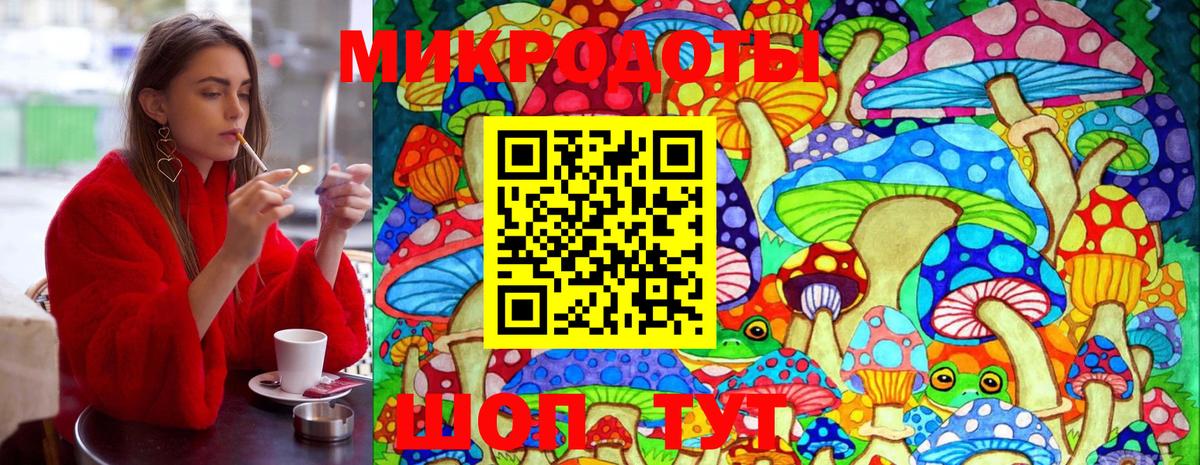 Белгород  Галлюциногенные грибы Psilocybe  Вход с VPN 